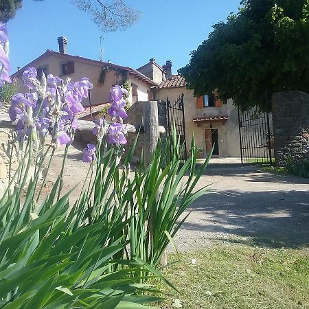 Casa Vacanze Podere Ugolini ロンタ エクステリア 写真