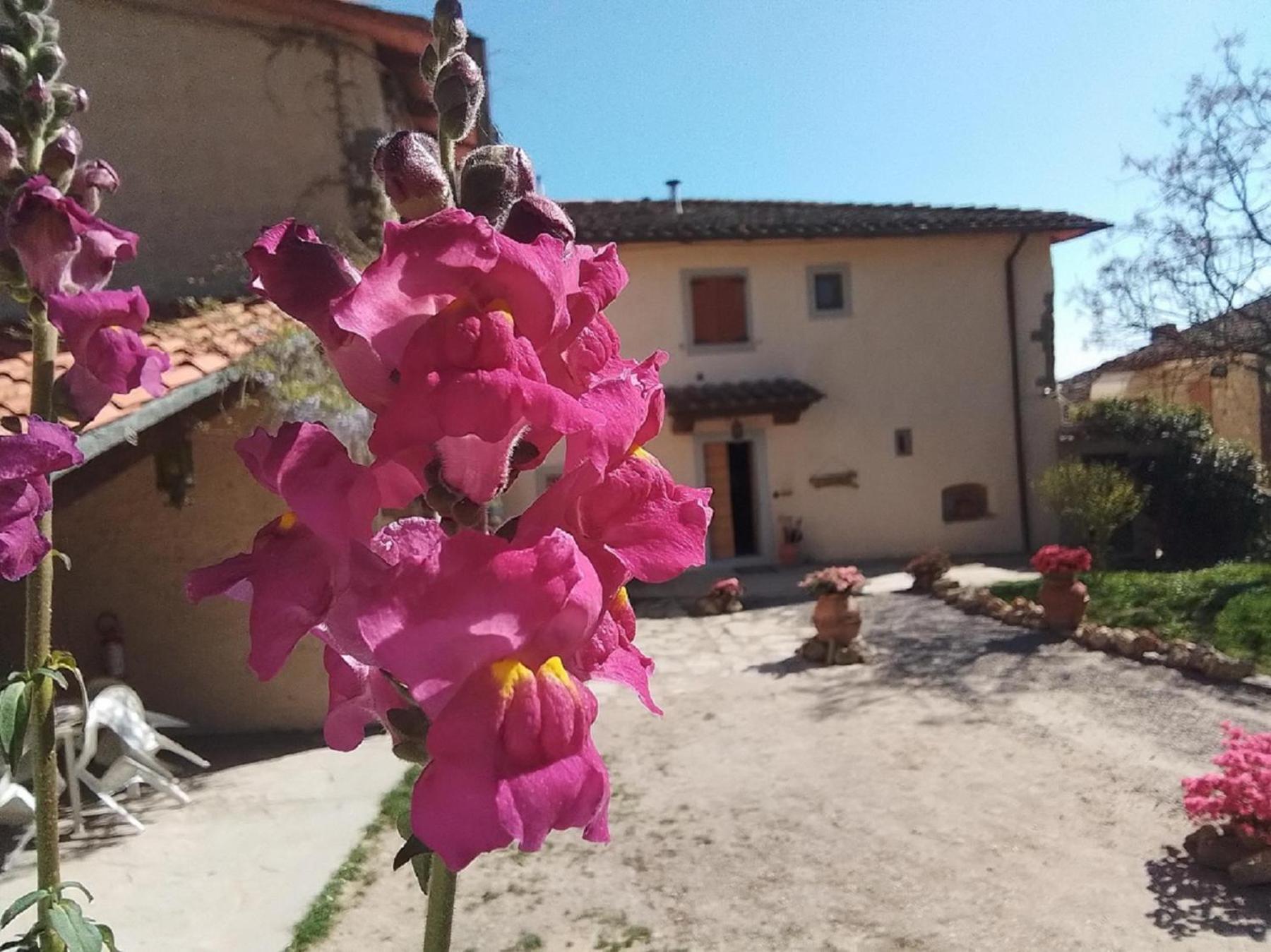 Casa Vacanze Podere Ugolini ロンタ エクステリア 写真