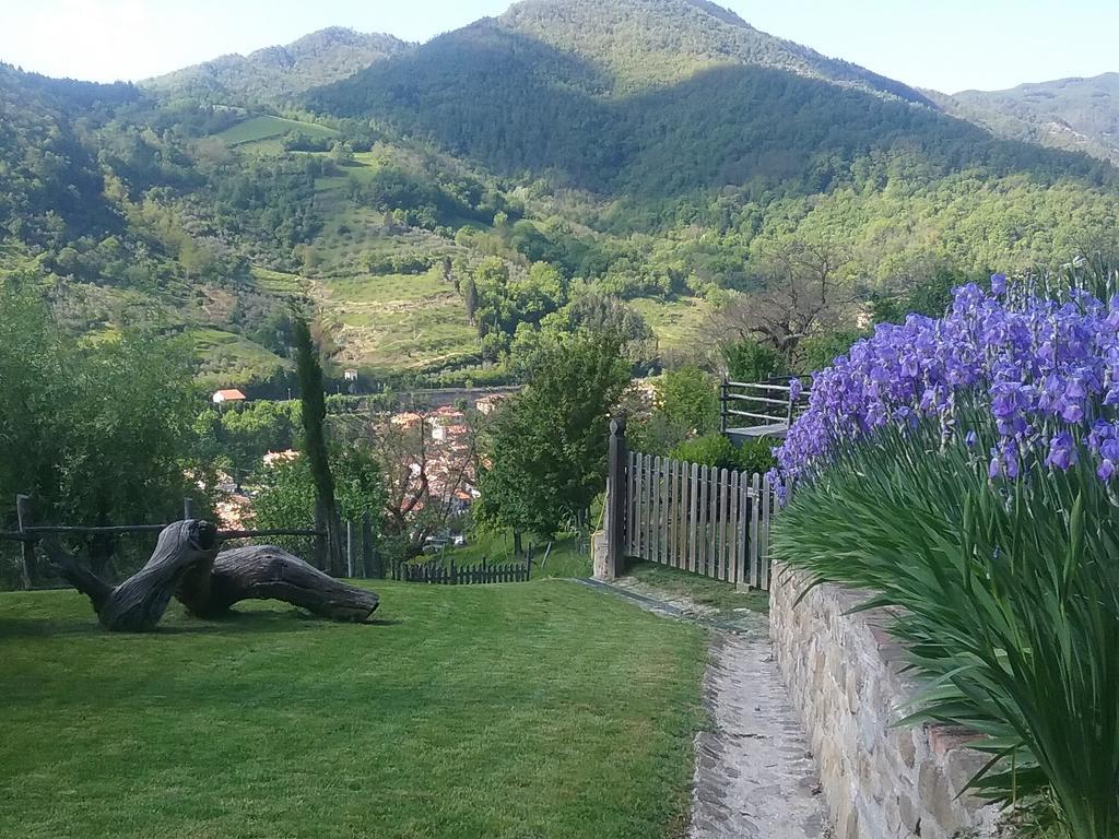 Casa Vacanze Podere Ugolini ロンタ エクステリア 写真