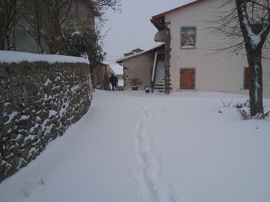Casa Vacanze Podere Ugolini ロンタ エクステリア 写真