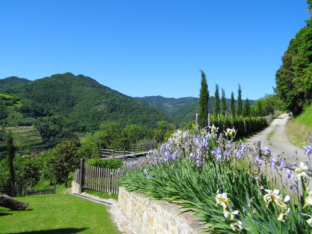 Casa Vacanze Podere Ugolini ロンタ エクステリア 写真