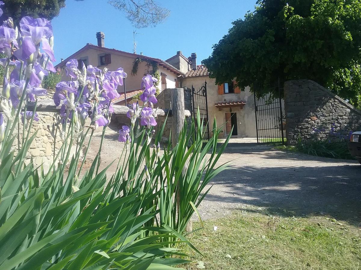 Casa Vacanze Podere Ugolini ロンタ エクステリア 写真